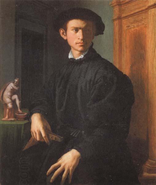 Agnolo Bronzino Portrait of a Young Man with a Lute oil painting picture